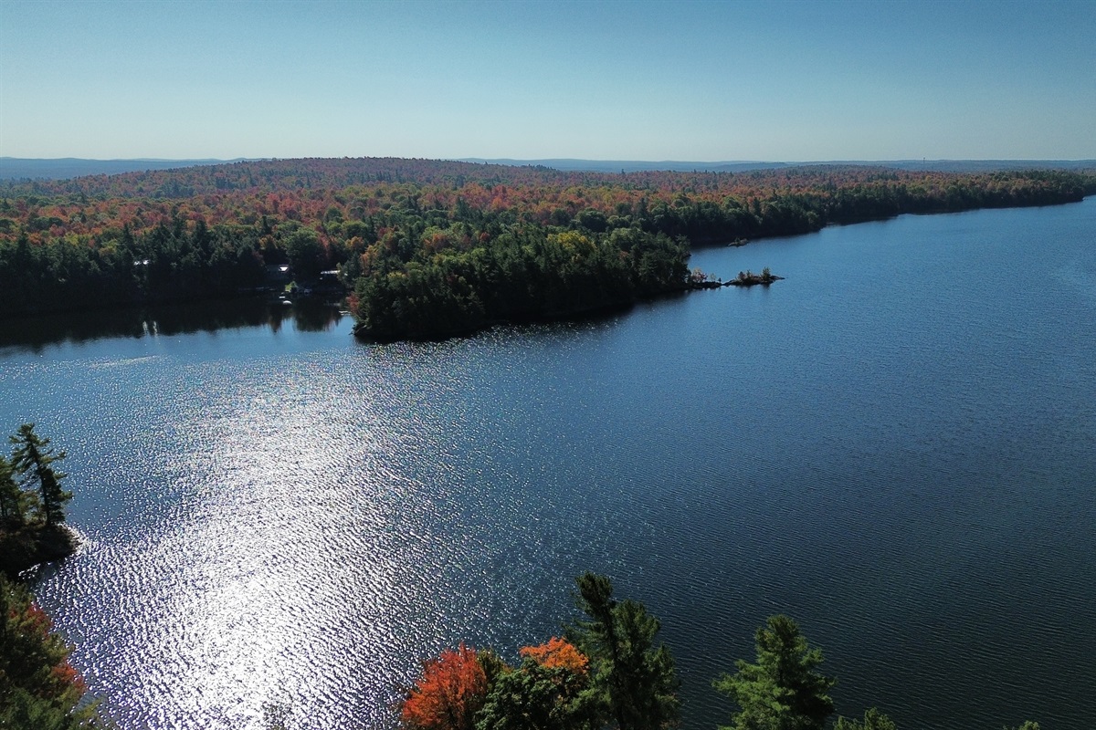 One Third of the Lake is Forever Wild