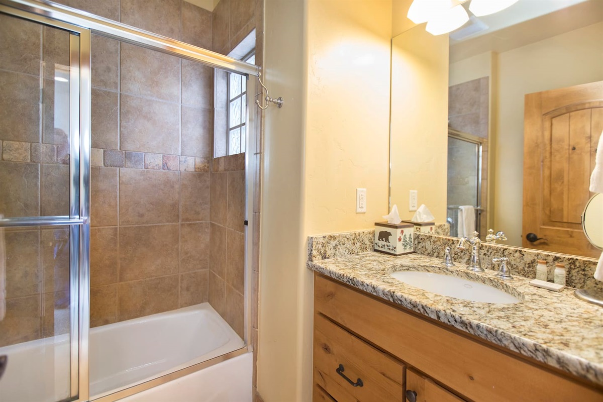 Lower level full bathroom