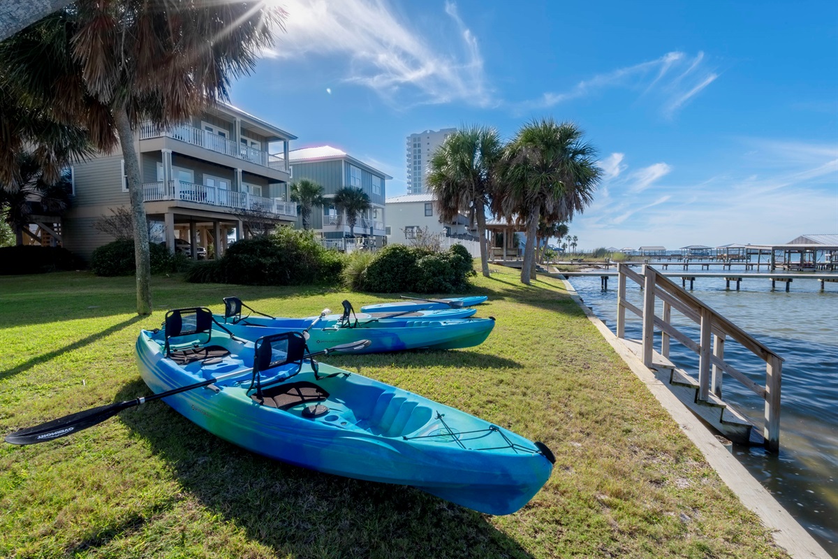 Waterfront escape: Palm-fringed shores with kayaks and serene vacation vibes.