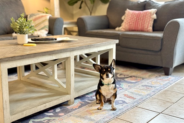 We're dog friendly! (with pet fee)