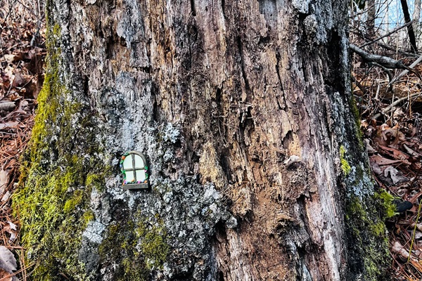 You might find some fairy doors on the Enchanted Forest Trail.
