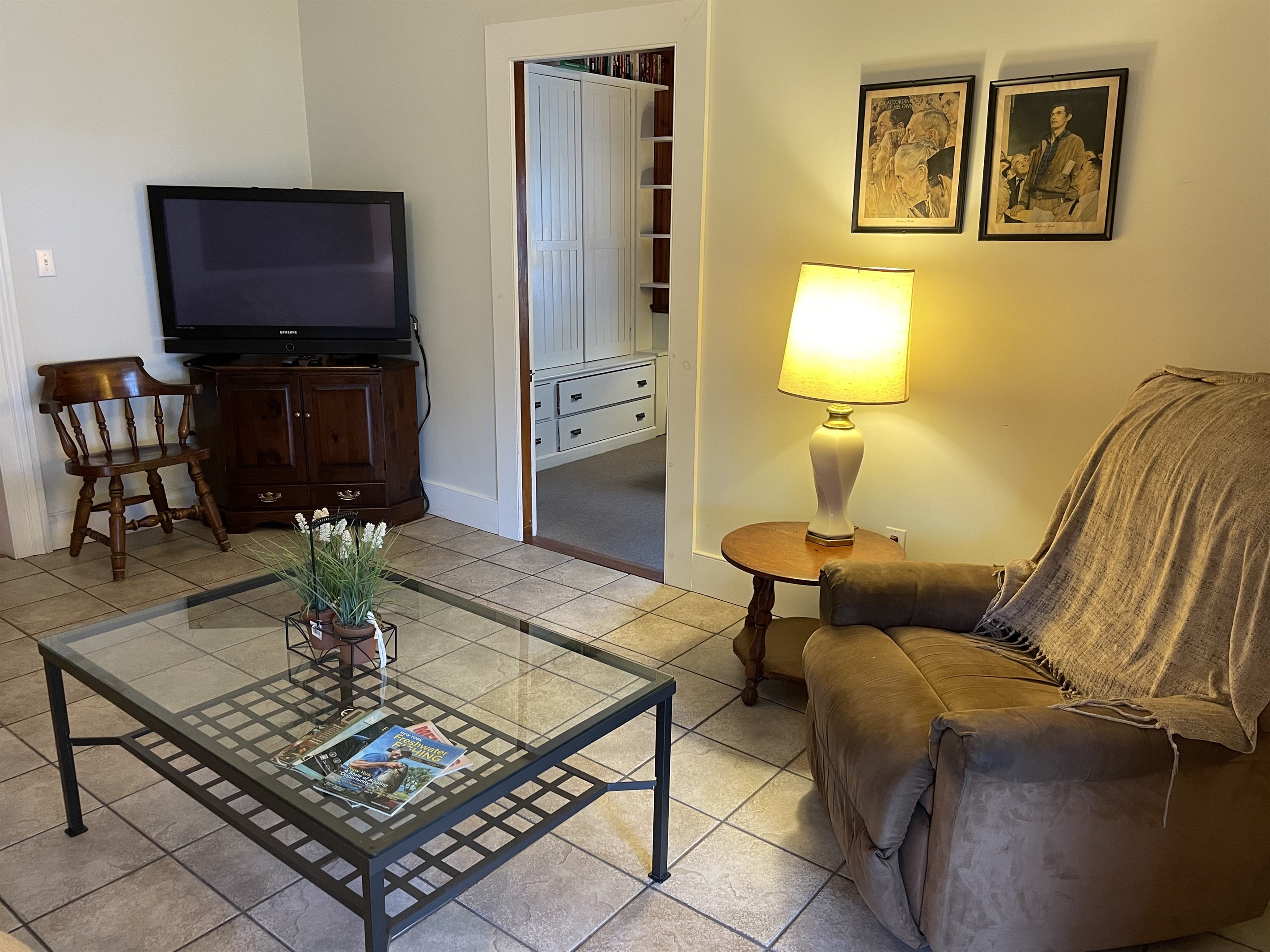 Den with TV