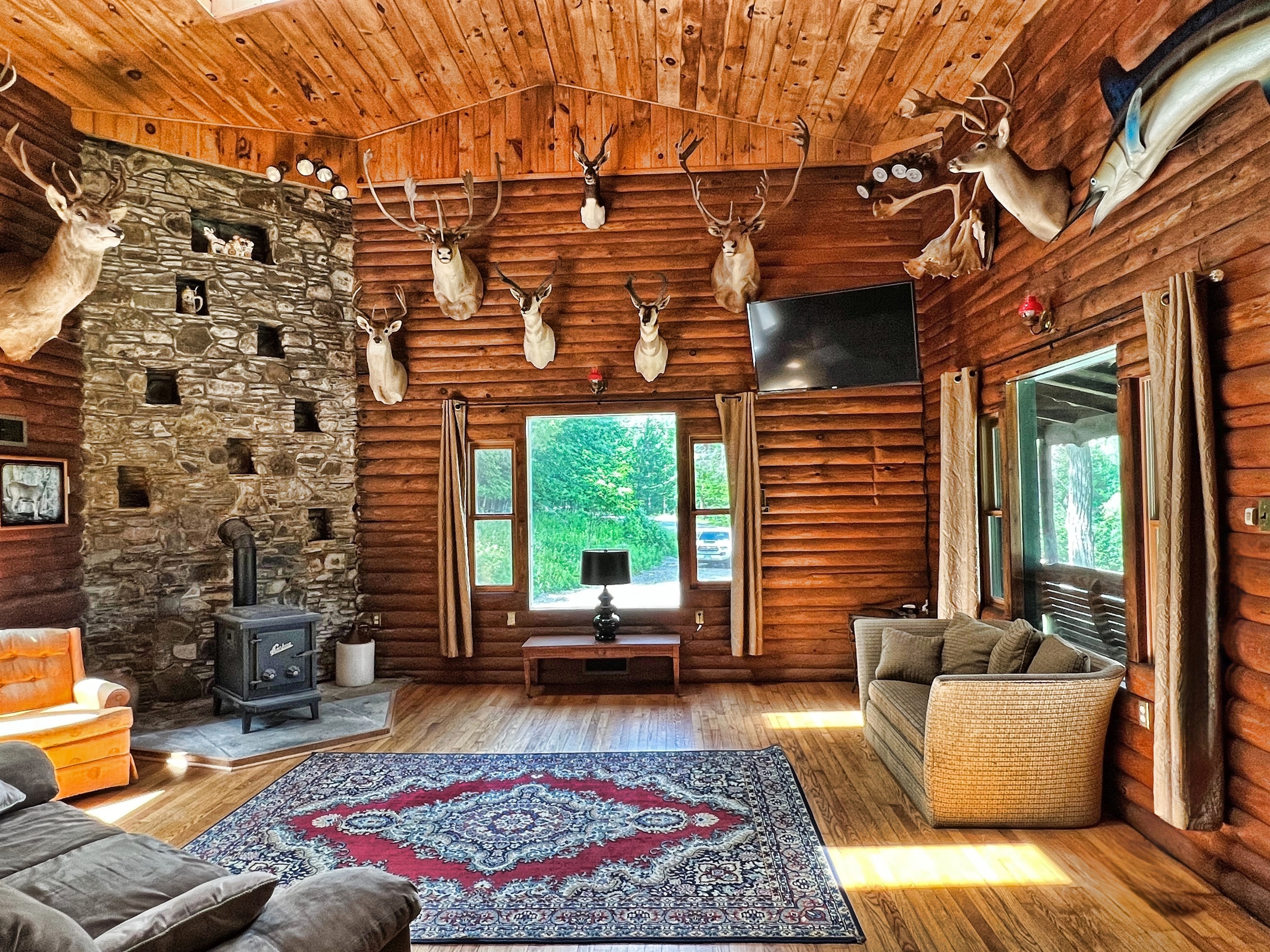 Main living room with TV. Your host is an avid outdoorsman enjoy his trophies from around the world! Can you identify all the different animals?