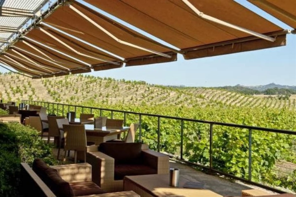 Ridge Vineyards - our neighbor, literally a short 5 minute walk.  Our guests receive free tastings.