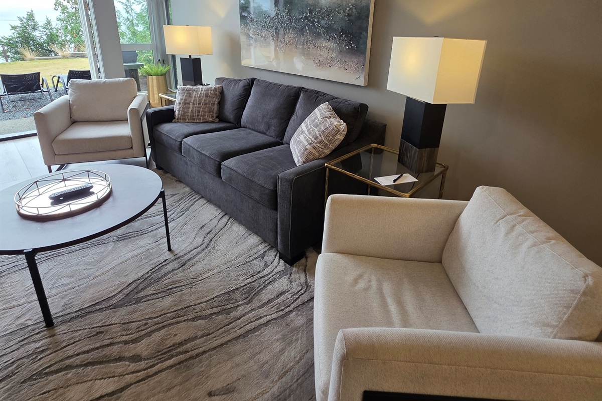 Living room pullout queen couch.