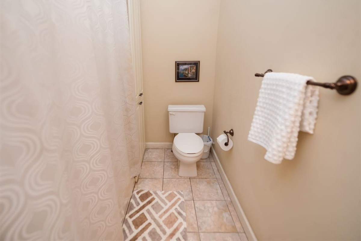 Hallway Bathroom (shower/tub combination)
