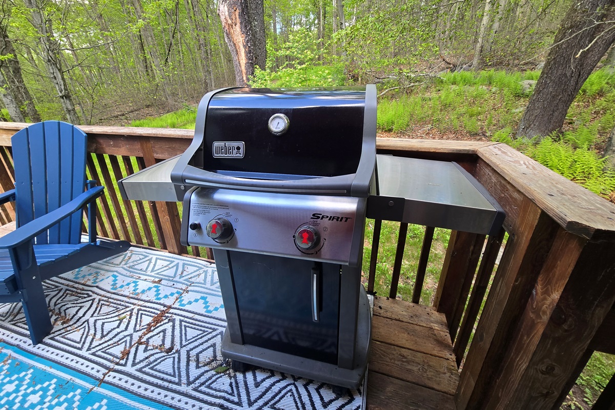 Rear deck with BBQ, propane fireplace and seating