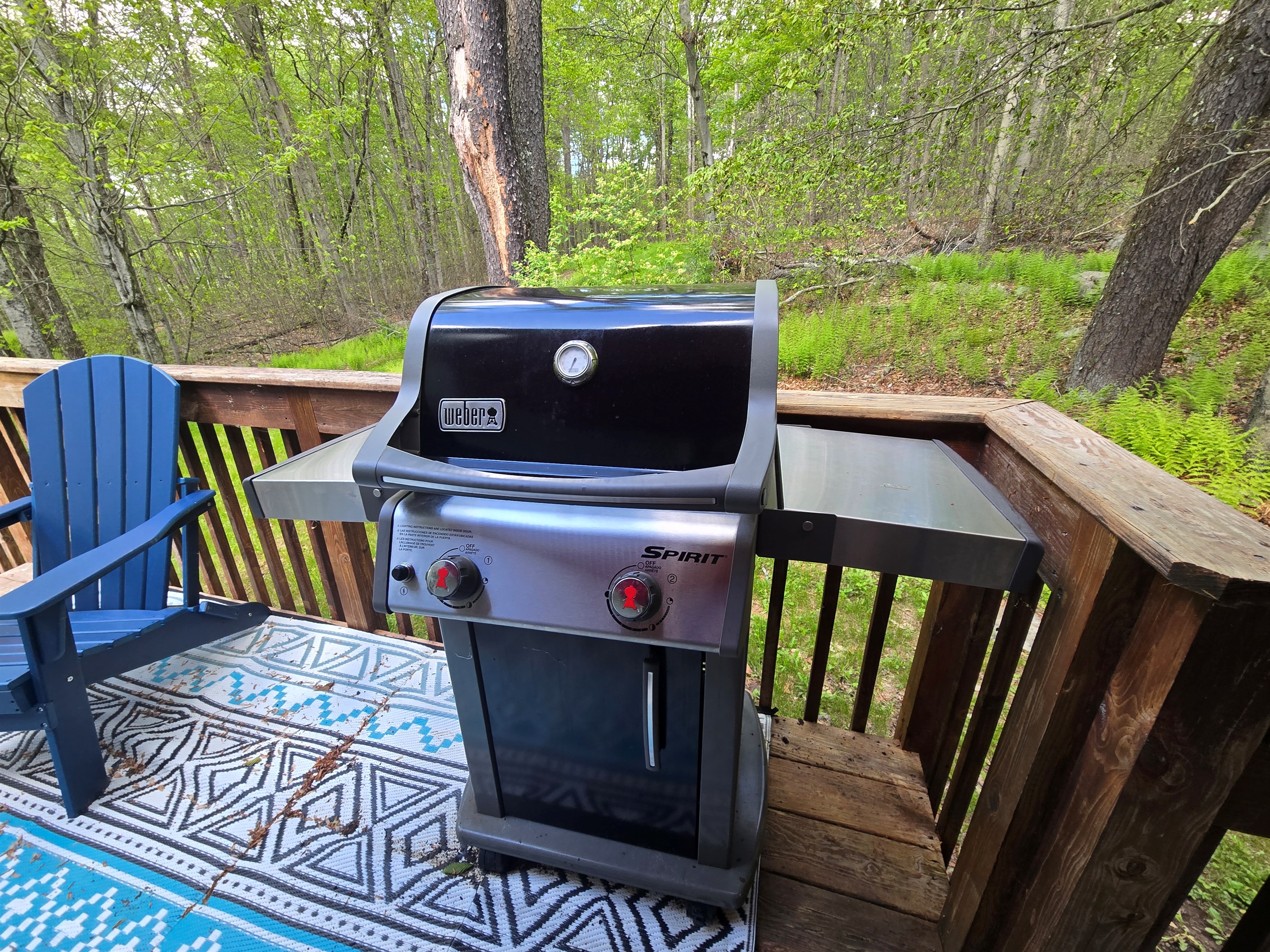 Rear deck with BBQ, propane fireplace and seating
