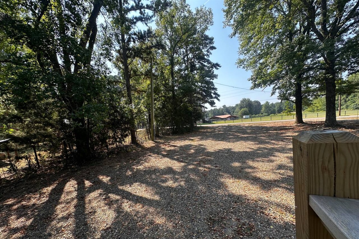 Backyard