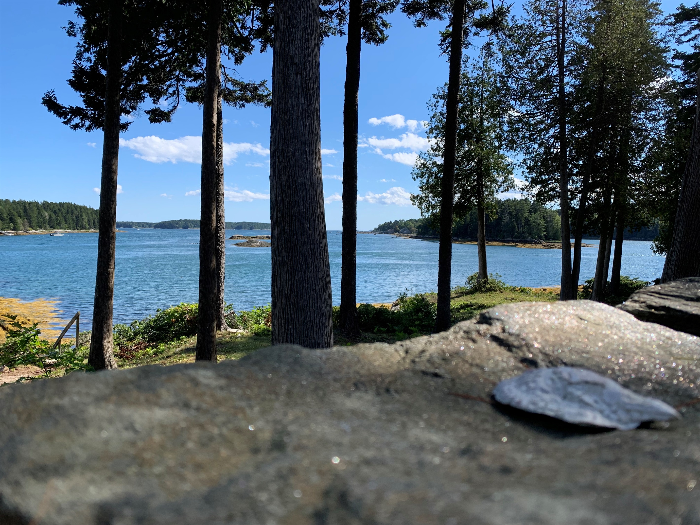 Great views everywhere you look!