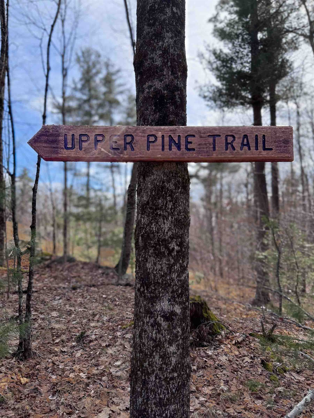 Hand-cut Upper Pine Trail sign on Woodruff Mountain at Sunset Falls Estate