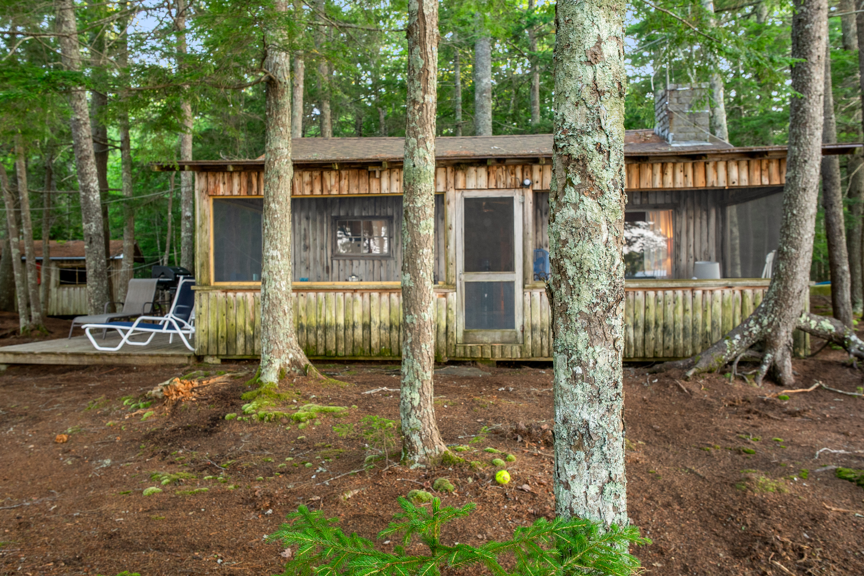 Water-facing front view of Loonrise Point! Full-length screened porch features a picnic table on the left for bug-free meals and a futon on the right for day lounging or night sleeping. Natural forest soil setting on Beech Hill Pond in Otis, ME.