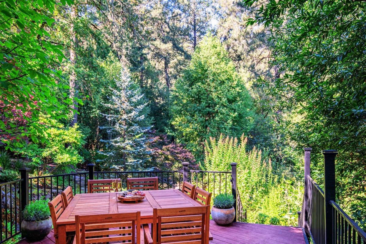 Immerse yourself in the beauty of nature - this moment is Instagram-worthy!