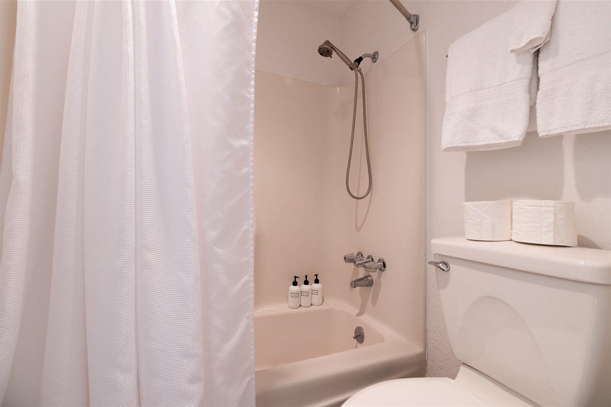 Master/Primary full bathroom