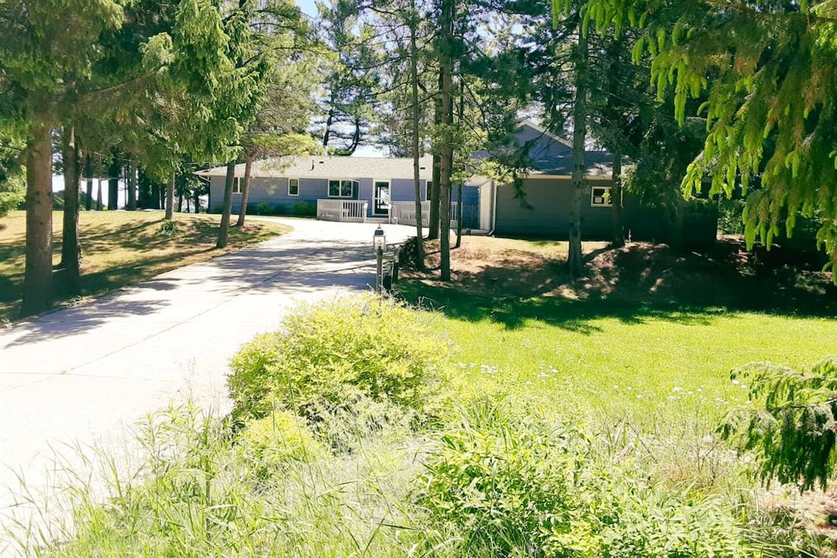 Front Yard