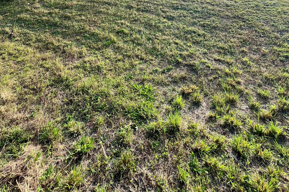 View of Mountain Top Oasis from backyard
