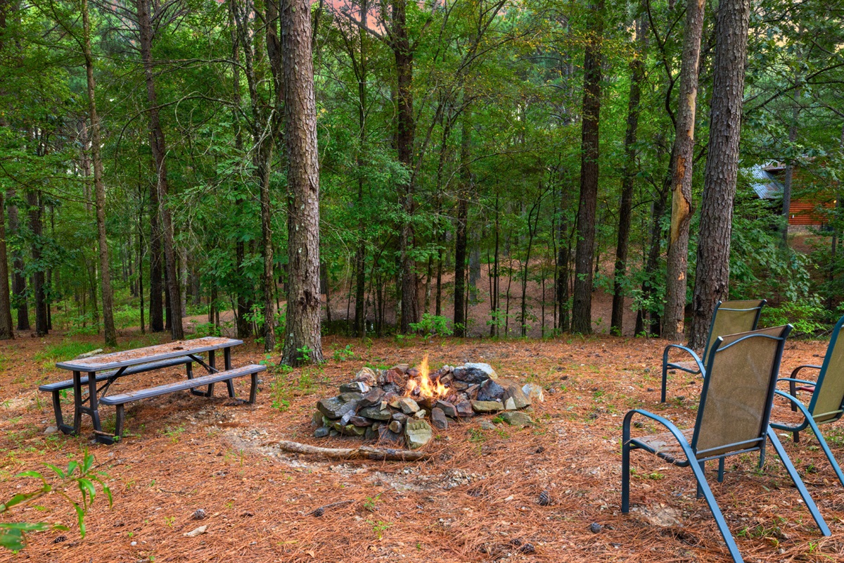 Fire pit with picnic table and chairs for group hangouts.