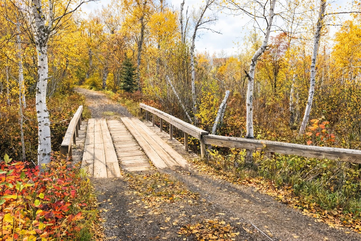 A private bridge and winding gravel drive carry you through glowing fall colors, tucked deep into the woods. With every turn, the outside world fades away leading you into your own secluded cabin escape, quiet, cozy, and completely yours.