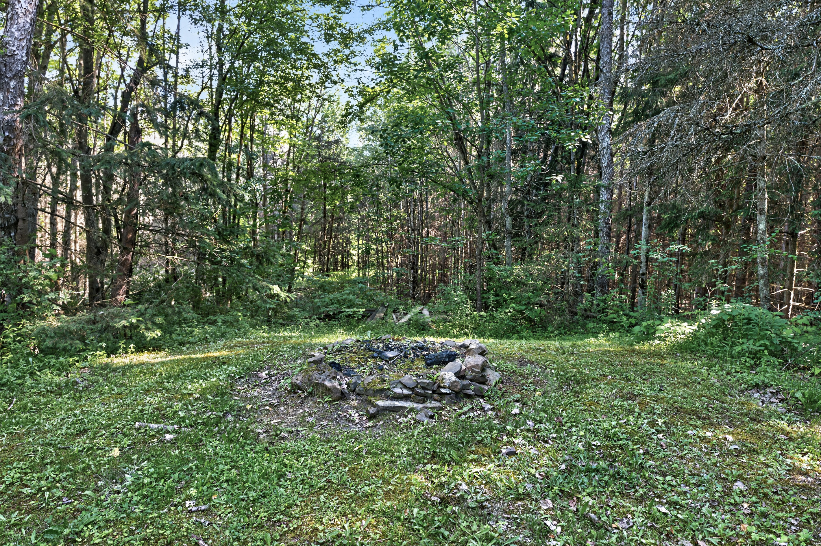 Stone fire pit in a wooded clearing