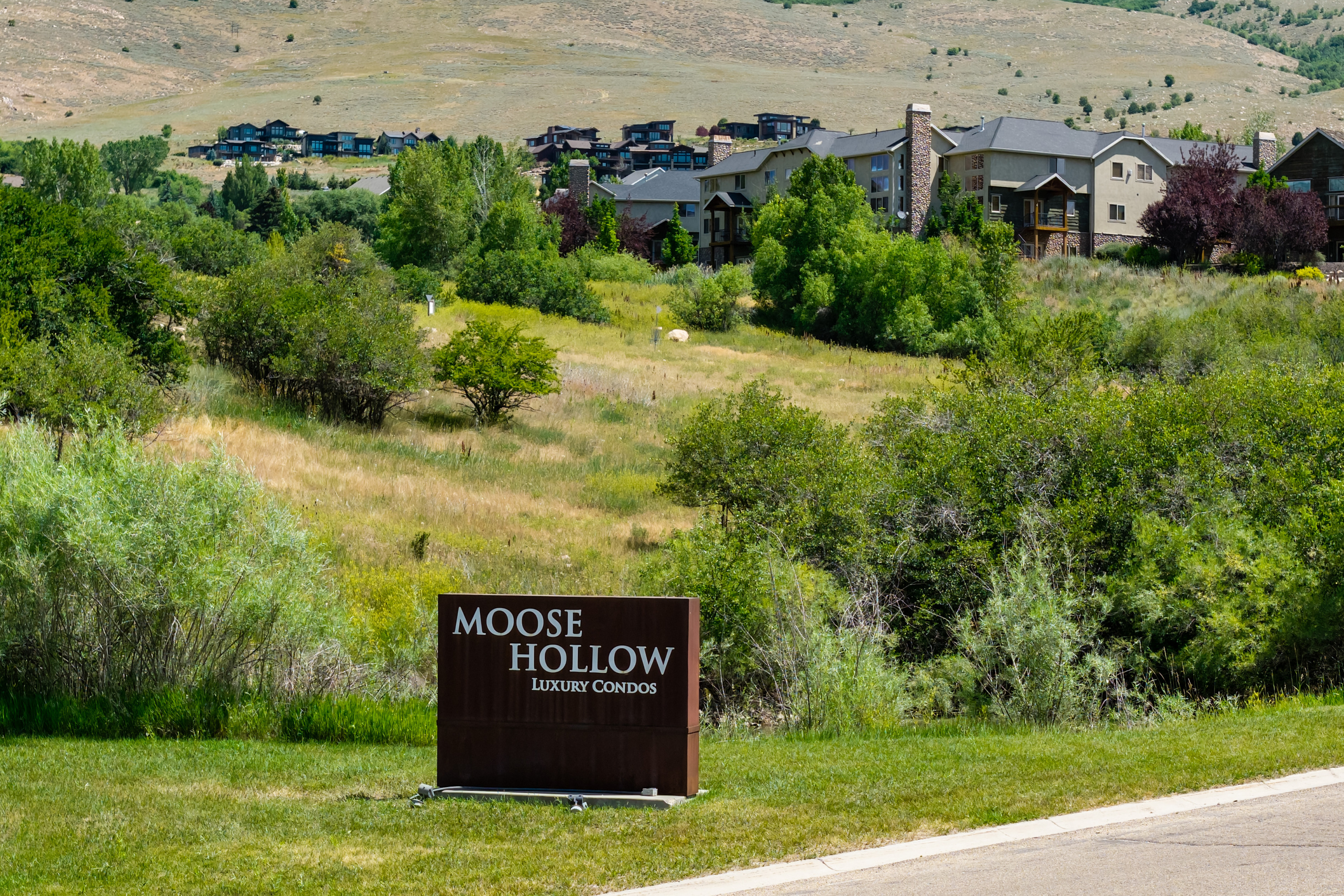 Moose Hollow