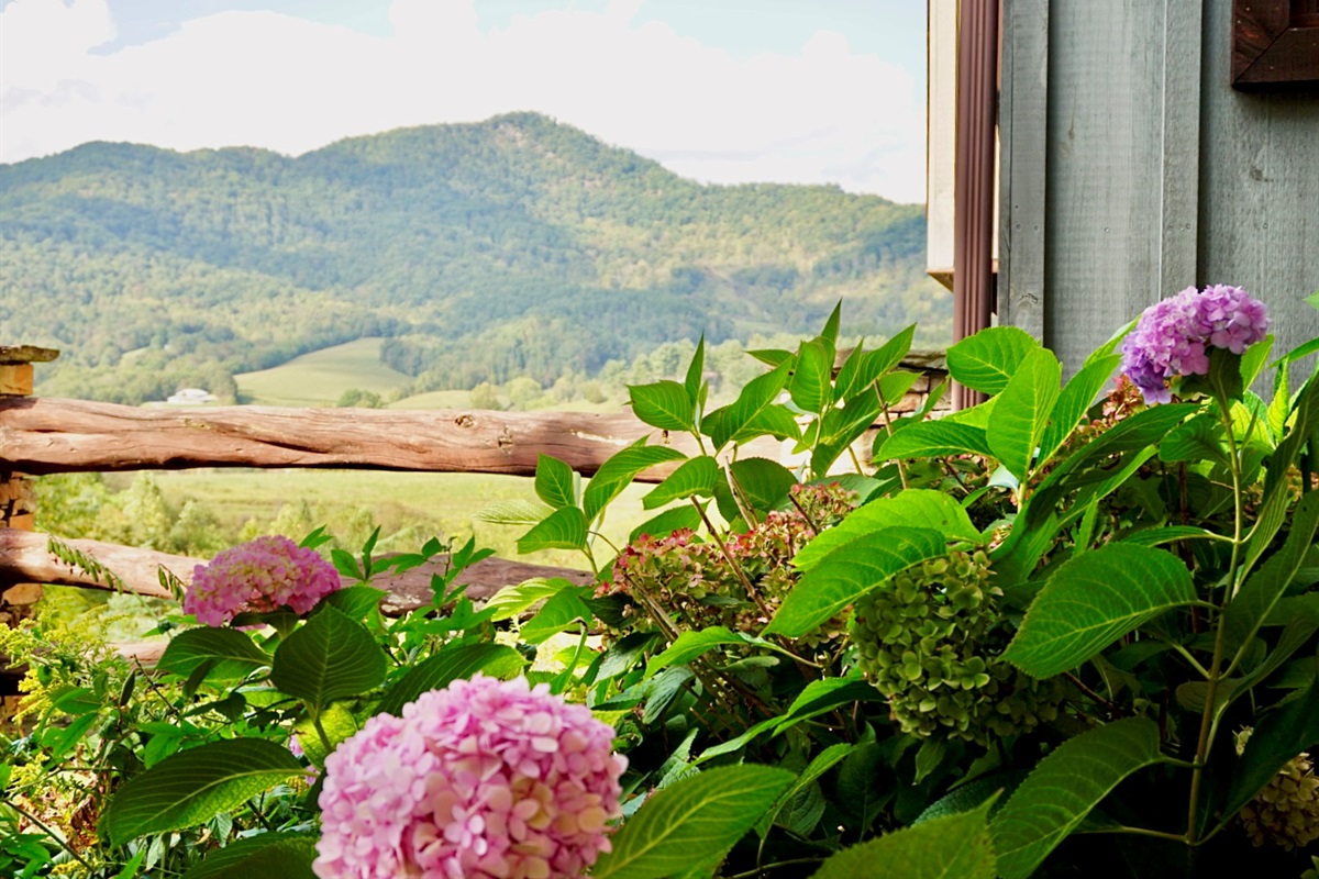 Mountain views and blooming beauty. A perfect pairing.