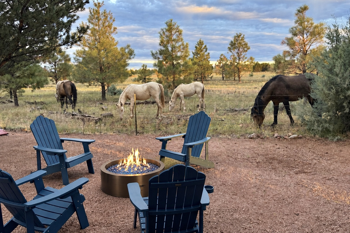 Mountain vibes, Mustangs and Must have amenities!