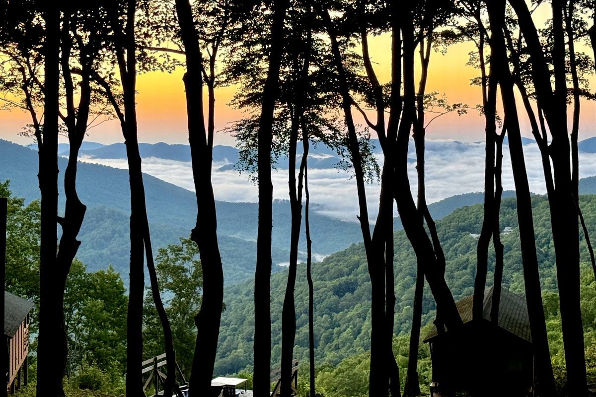 Back Porch View