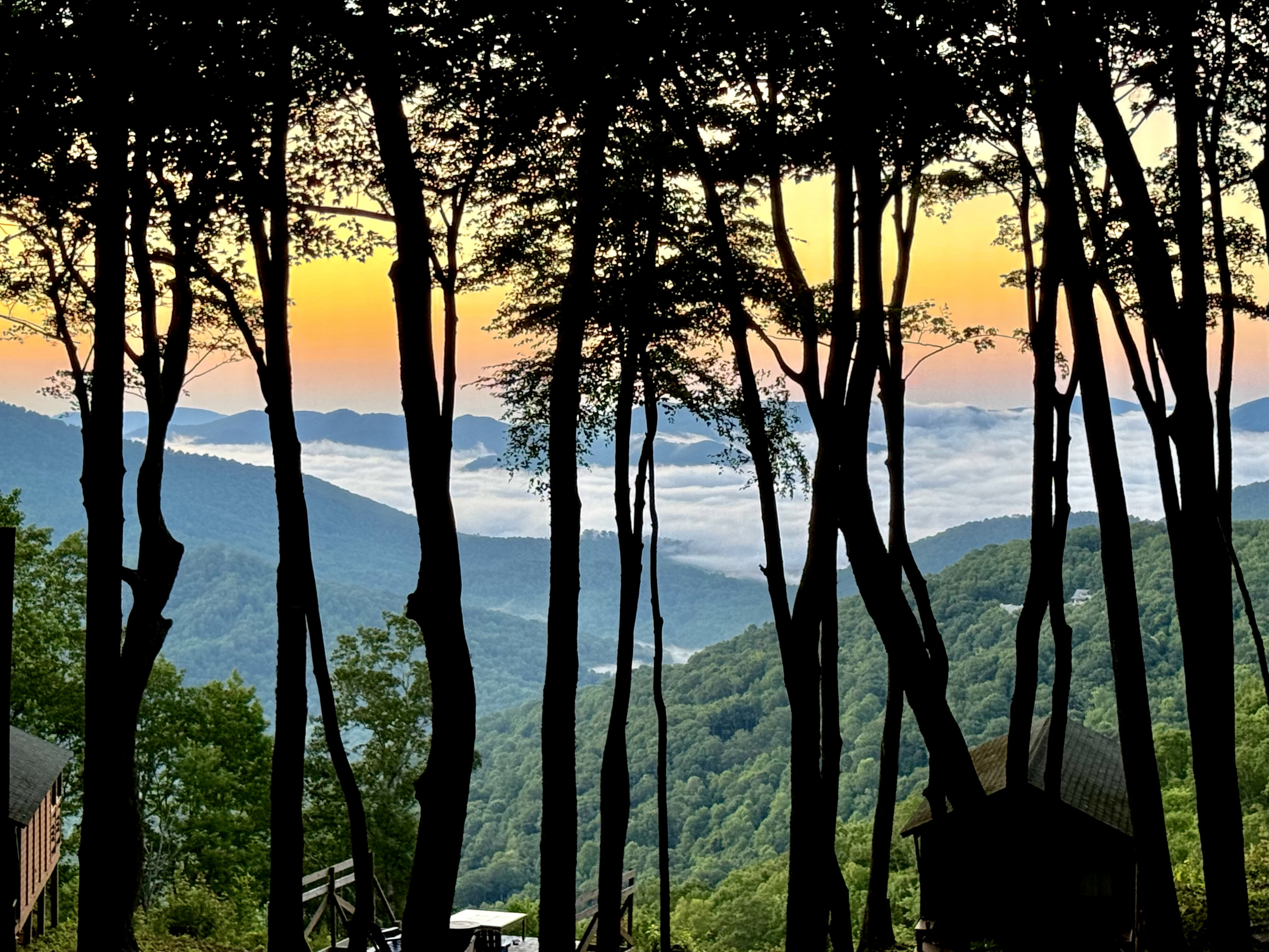 Back Porch View