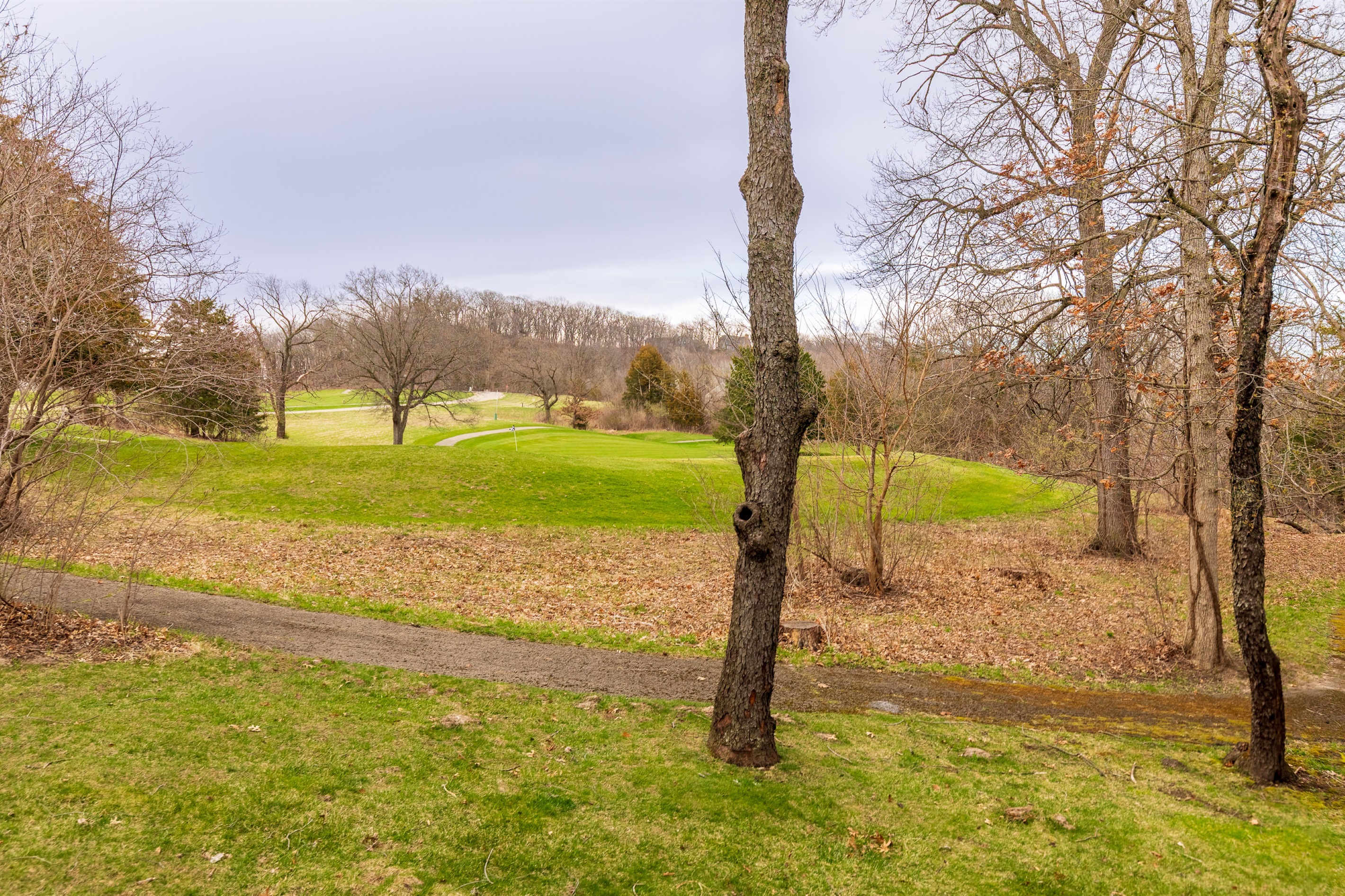 View from the backyard to the 6th hole of the North Course