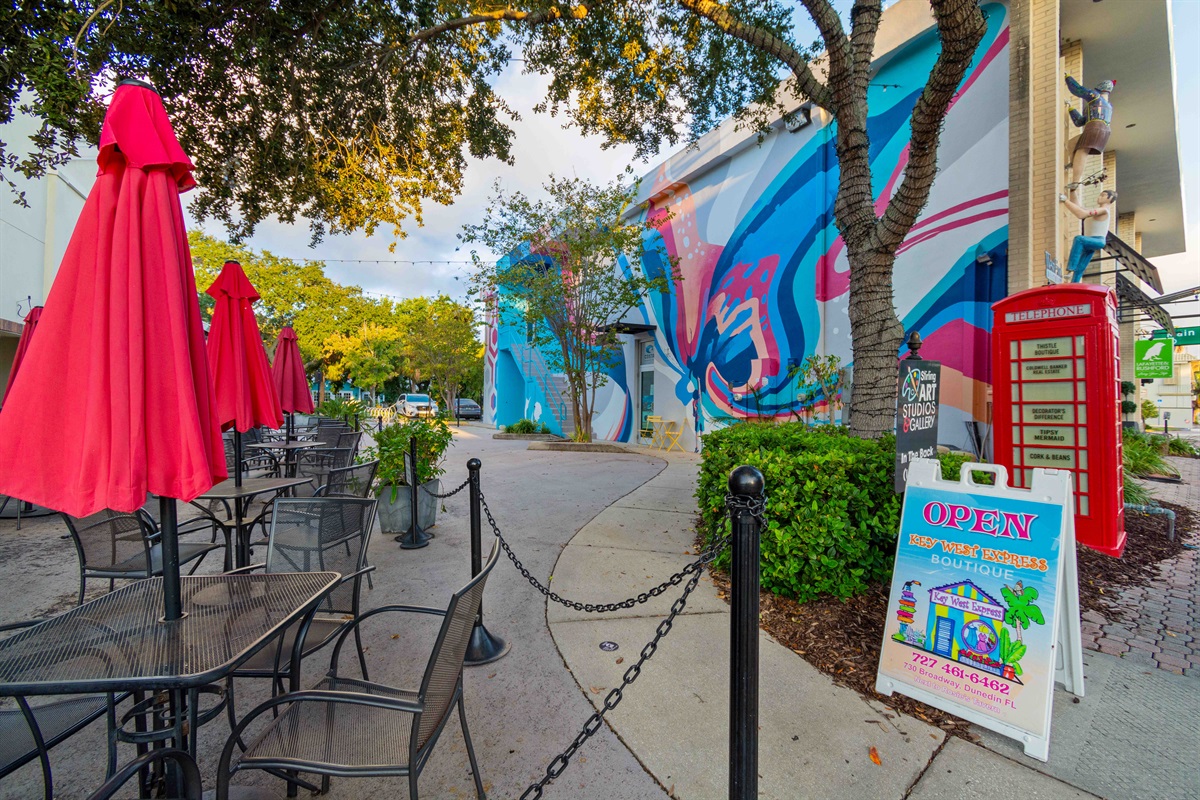 The Murals in Downtown Dunedin