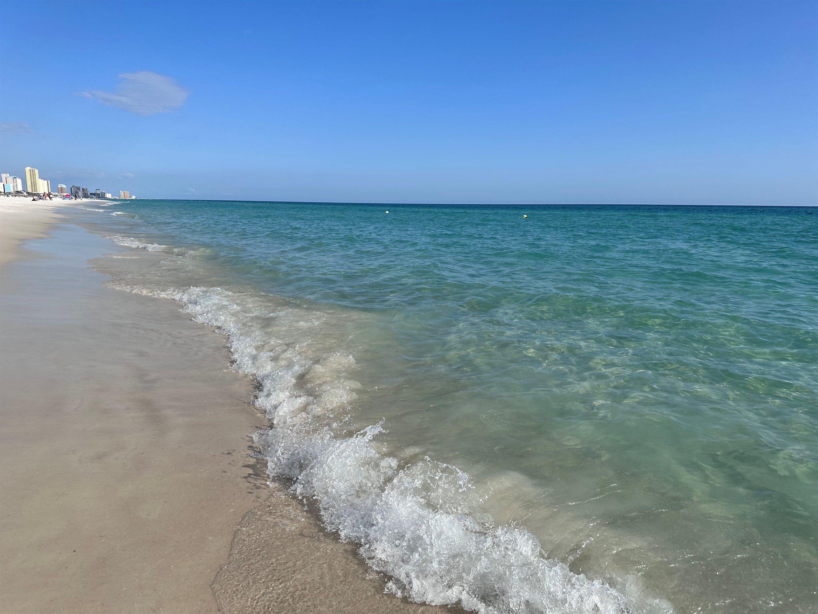Photo #13