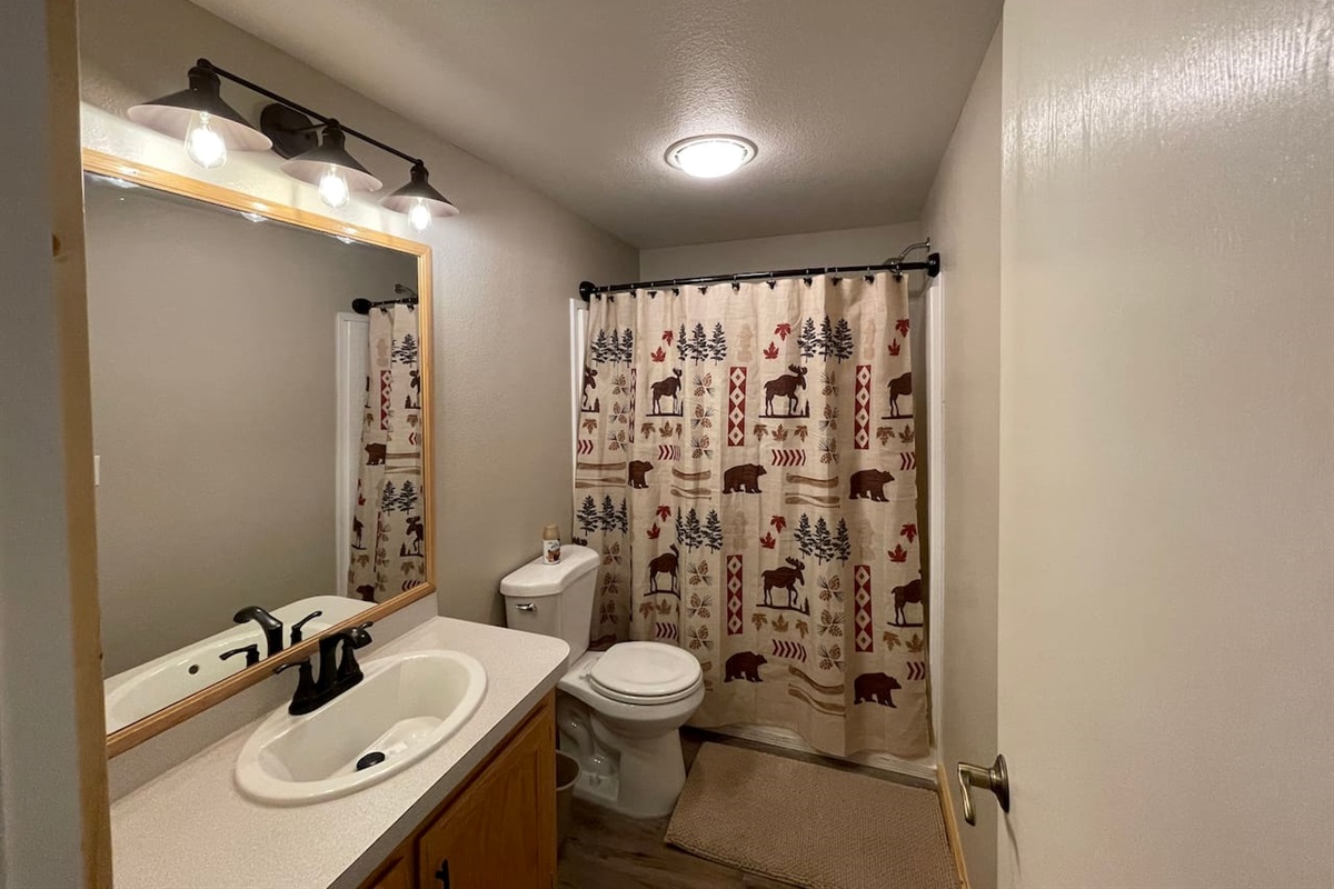 Main Guest Bathroom