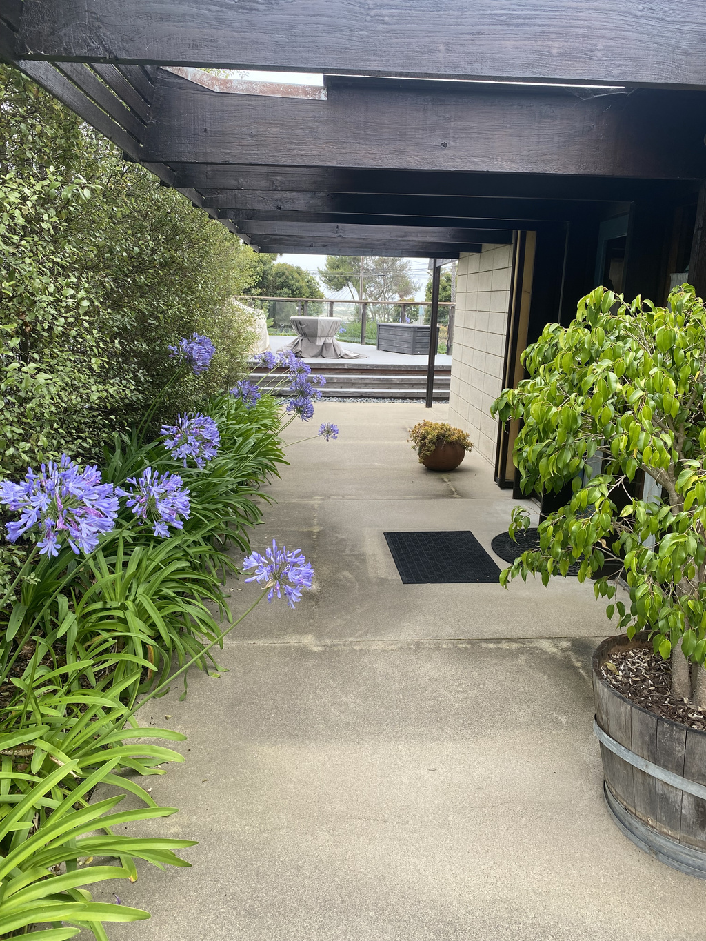 Looking towards the ocean - greenery has filled in