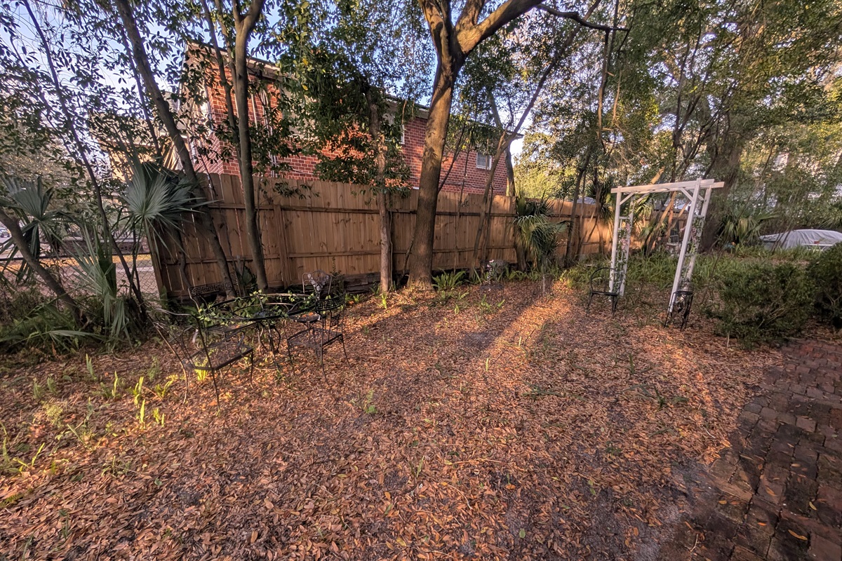 Side yard of home with cute decorations and ferns