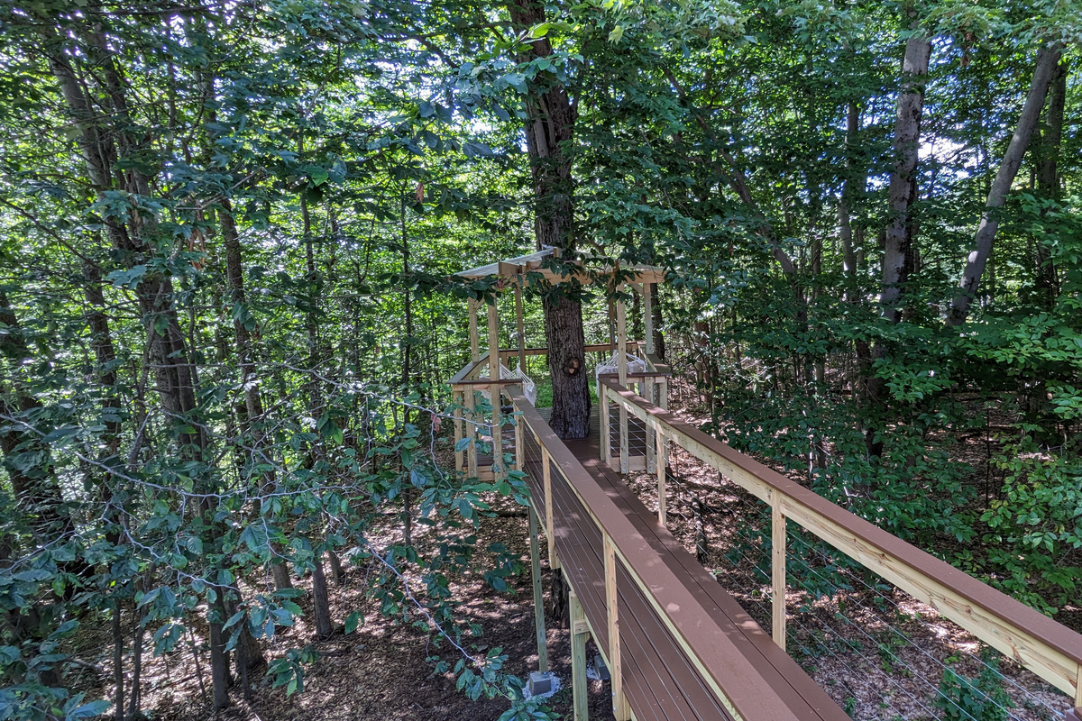 Treehouse in the woods
