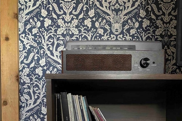 For your listening pleasure. Record player and a growing collection of vinyl. 