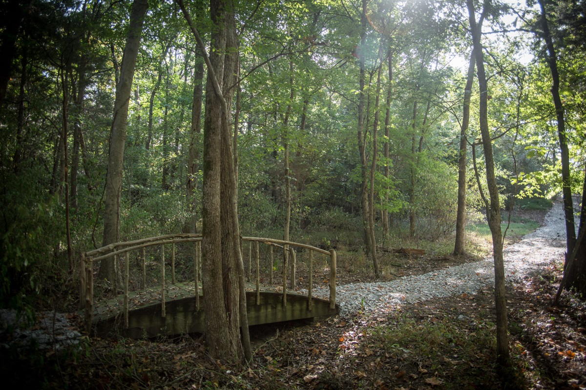 "The bridge" located on the property