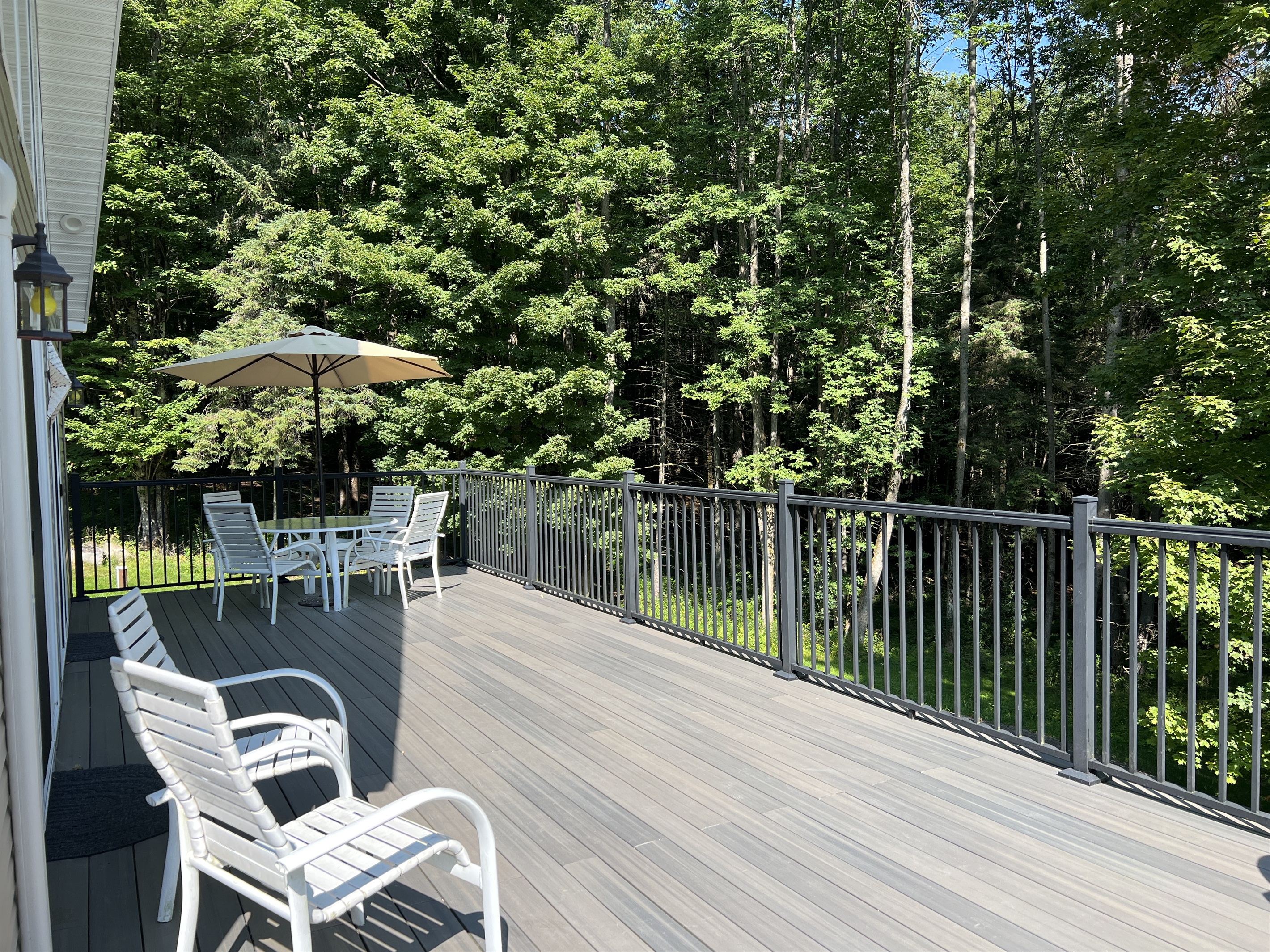 Rear deck with dining table