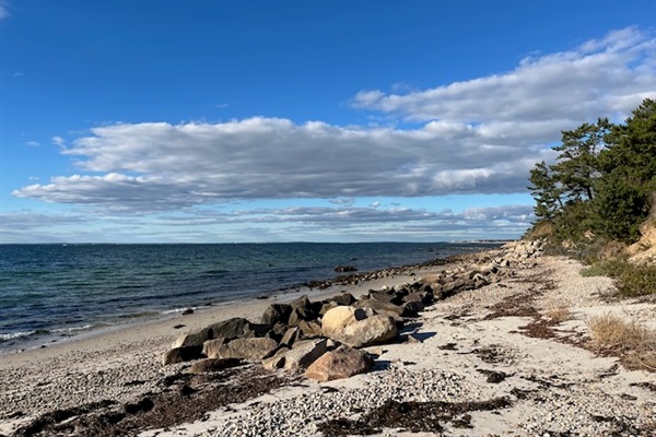 Gunning Point beach, just 10mins away from the house