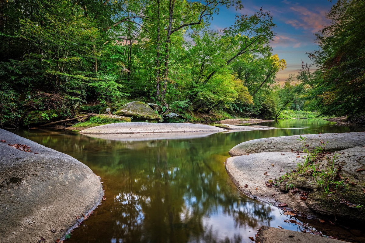 Tucked among towering trees, this stunning cabin offers the ultimate blend of nature and luxury.