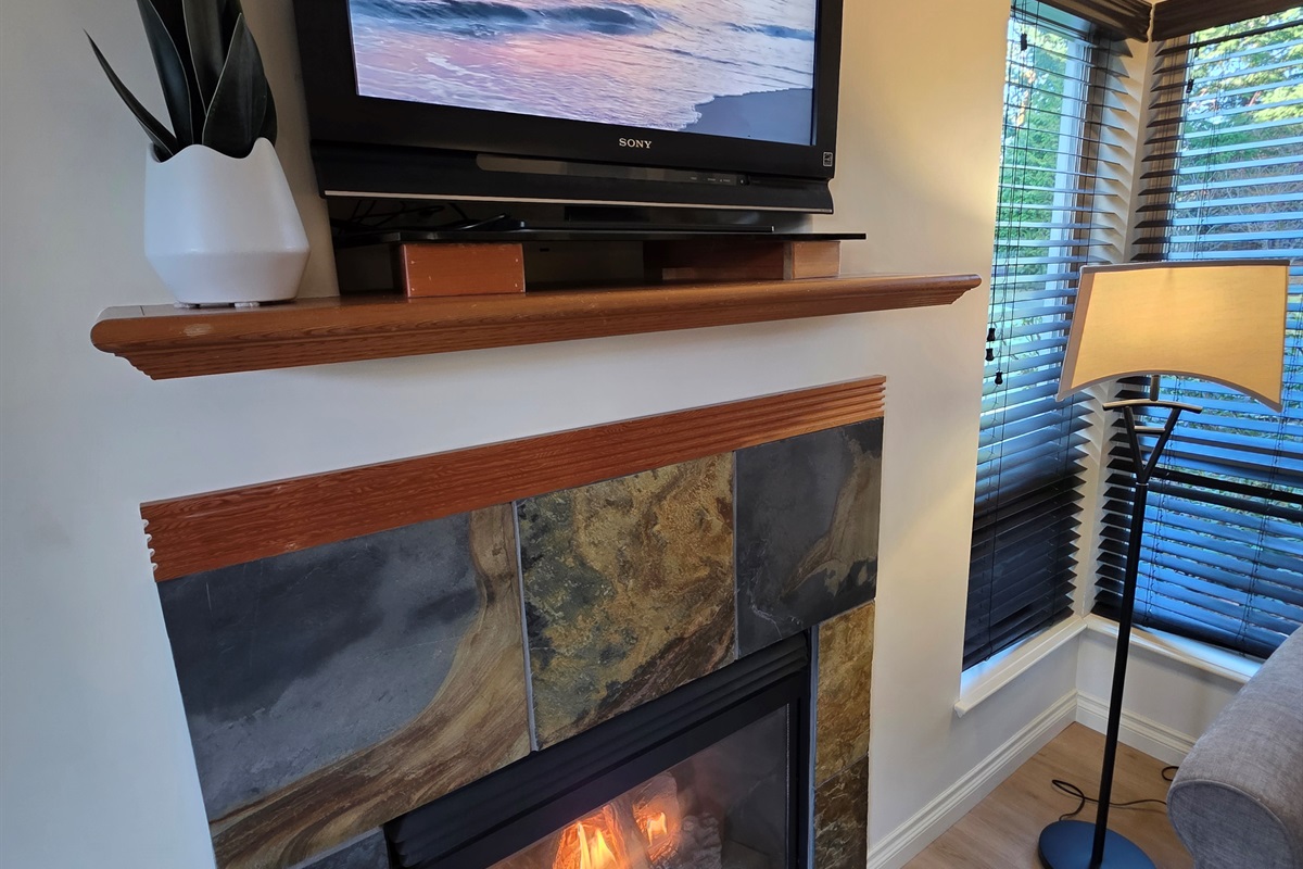 Unit B. Main Floor. Streaming TV. Double glass doors. AC unit / natural gas fireplace. Covered Patio. Open concept. Roomy and spacious. Queen pull out sofa for extra Guests.