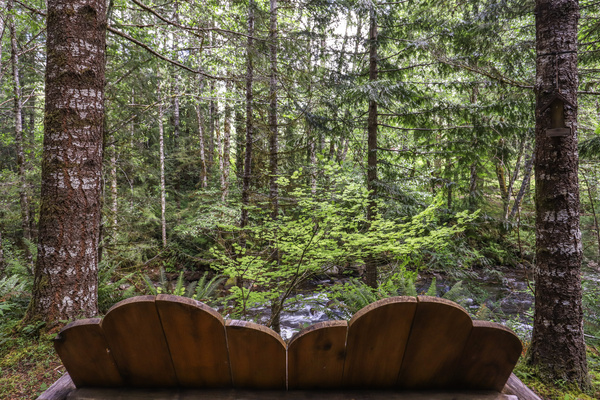 Bench at the End of a Short Path Overlooking Zig Zag River