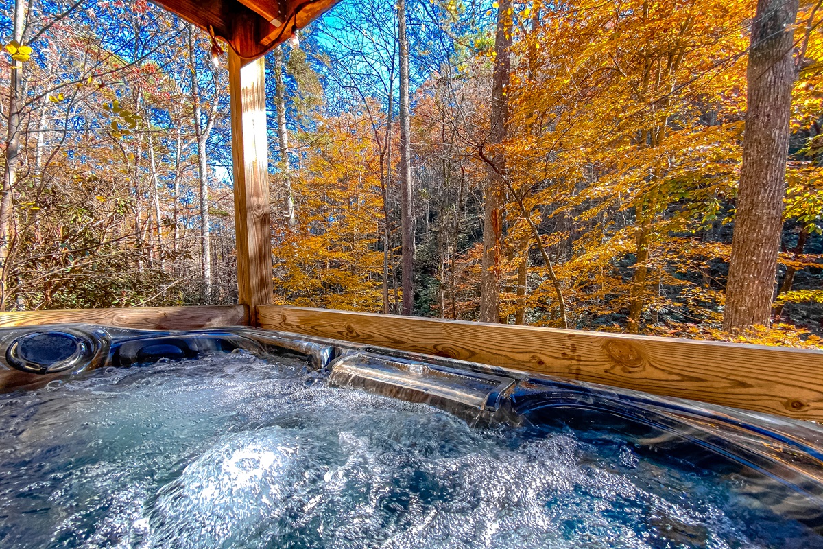 The ultimate post-hike reward. Private, wooded views from the hot tub. You might even see a bear or two in the forest on the other side of the holler!
