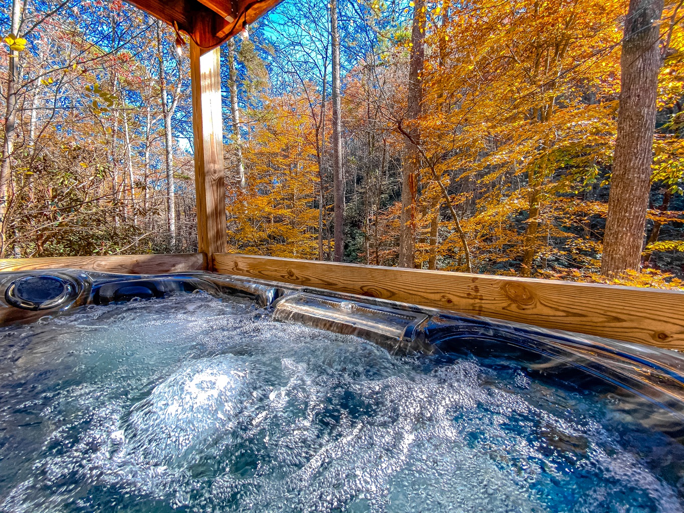 The ultimate post-hike reward. Private, wooded views from the hot tub. You might even see a bear or two in the forest on the other side of the holler!