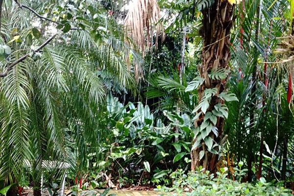 Walking Paths