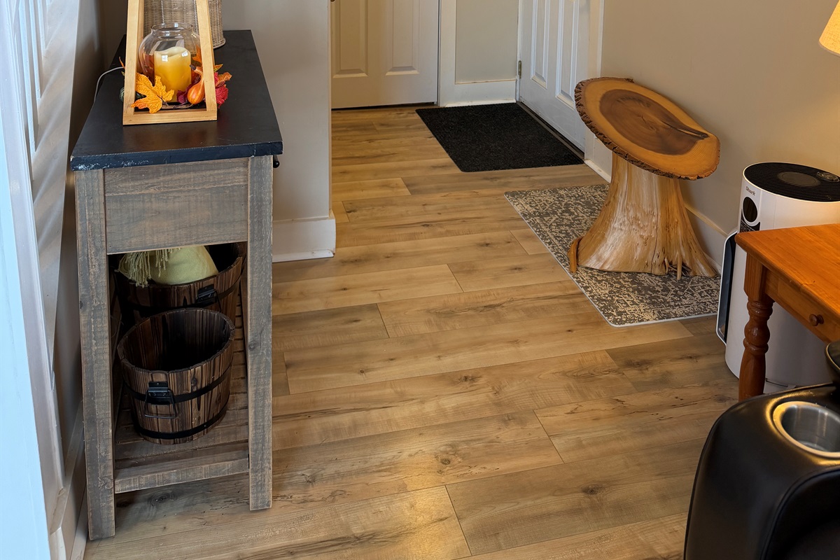 Entry way in living room