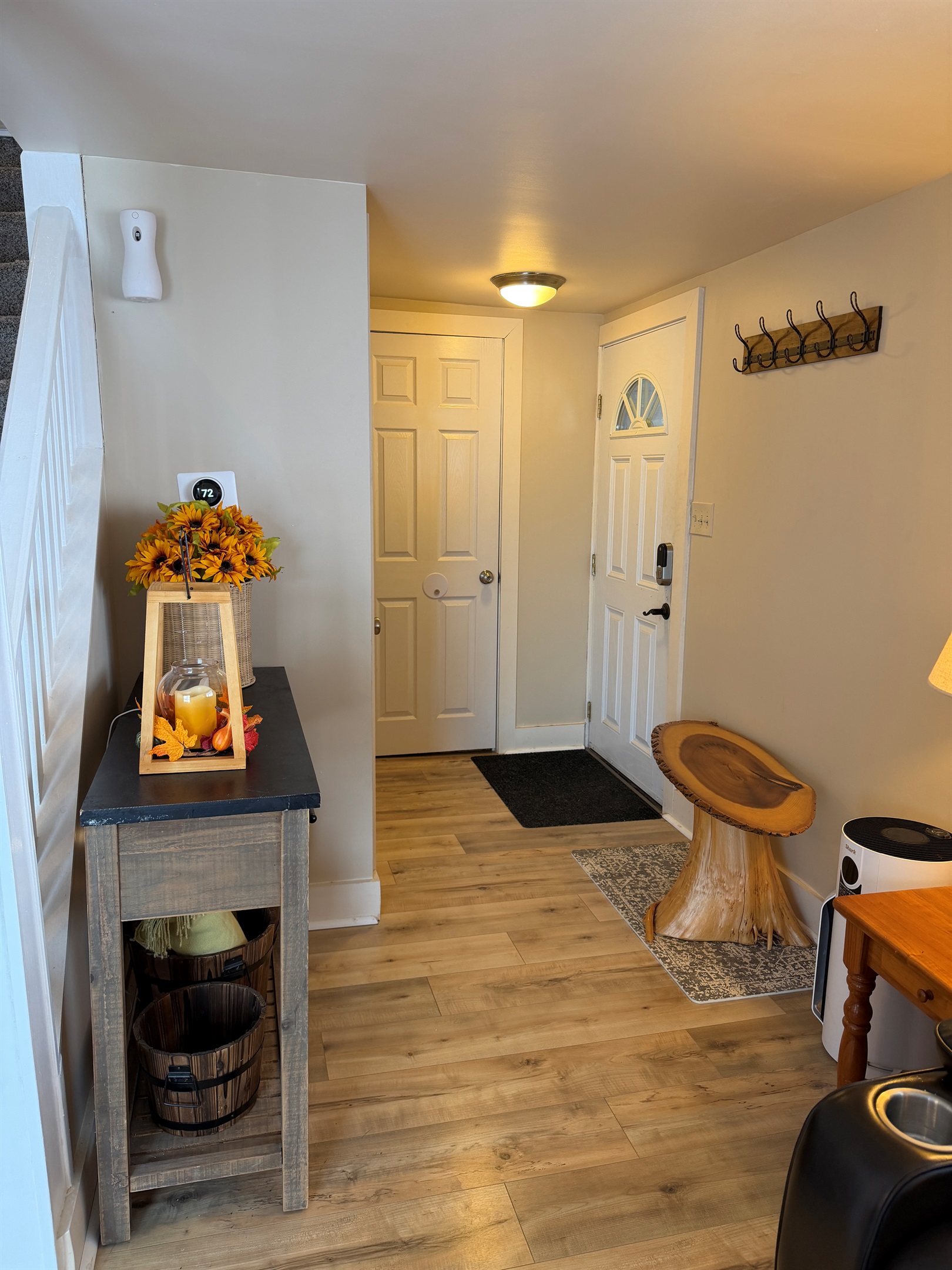 Entry way in living room