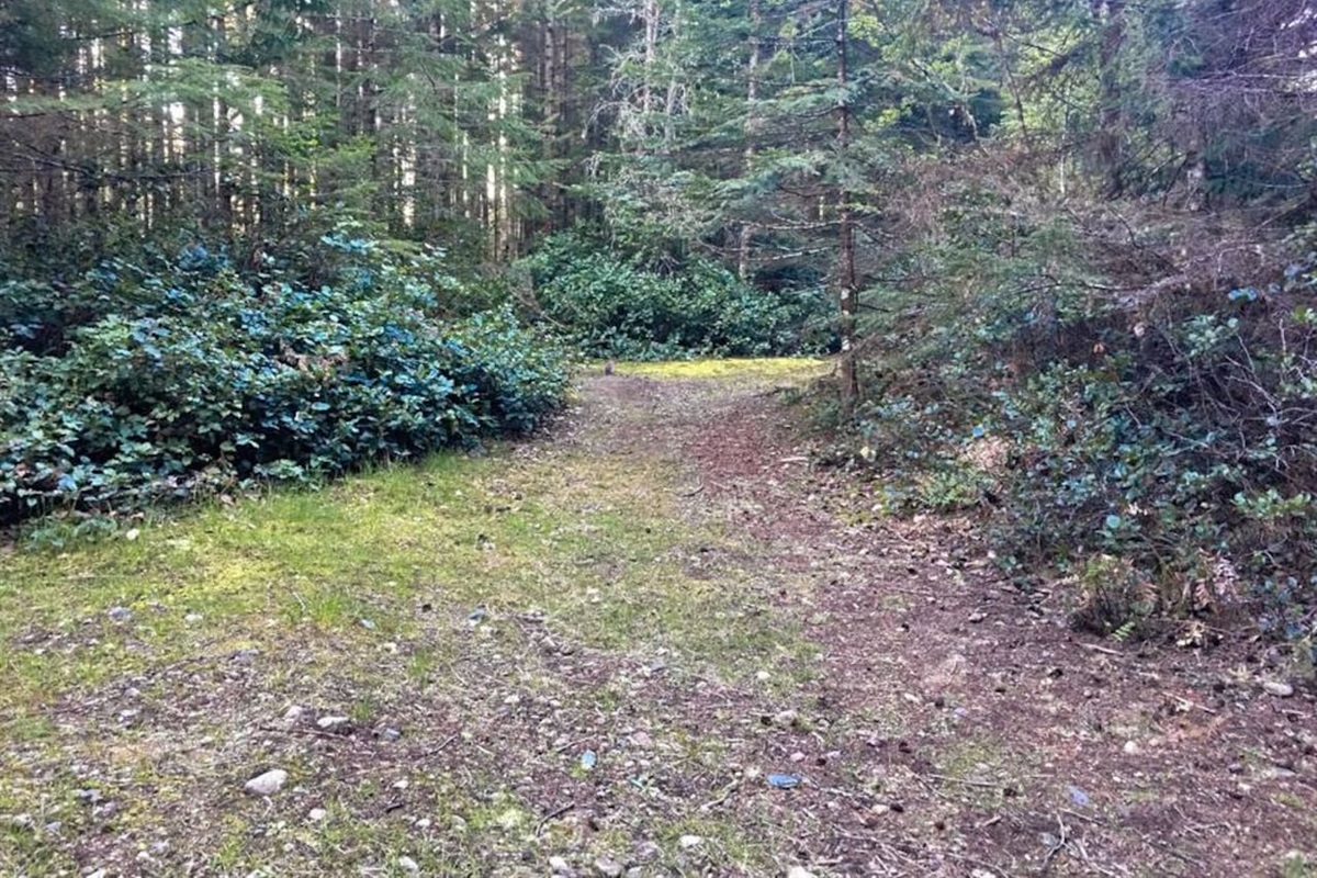 More Paths
