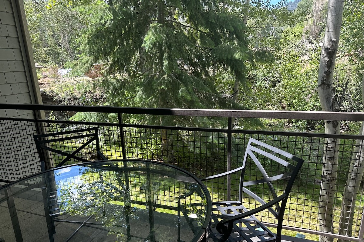 Trail Creek view from the Balcony