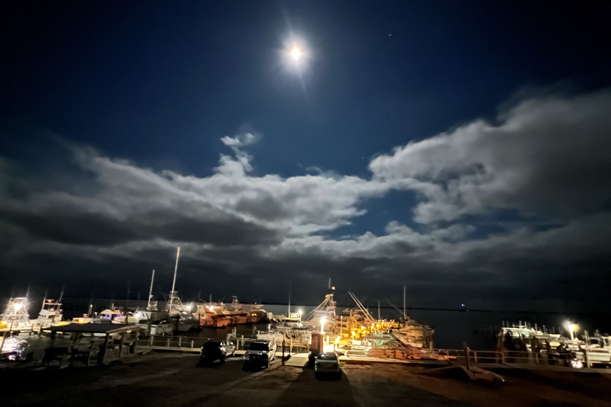 Gorgeous view of the marina